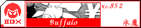 Buffalo/�X��
