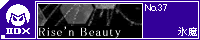 Rise'n Beauty/�X��