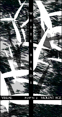 WHITE BIRDS/�X��
