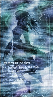 fly through the night/��AIR