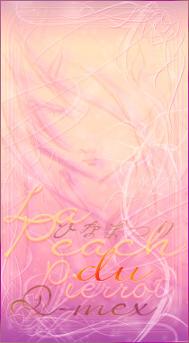 La Peach du Pierrot/��AIR
